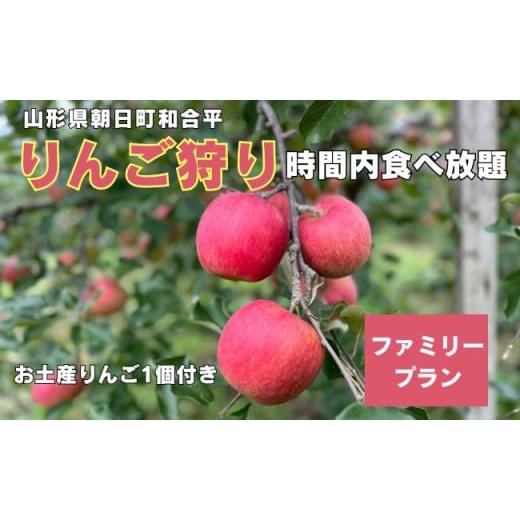 ふるさと納税 体験チケット 山形県 朝日町 りんご狩り体験(ファミリープラン) りんご 収穫体験 6名様まで 60分 食べ放題 お土産付き 山形県 朝日町