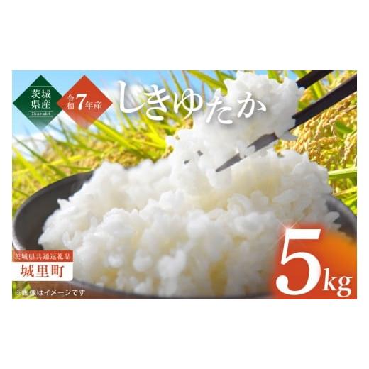 ふるさと納税 米 茨城県 水戸市 数量限定 令和7年度産 新米 茨城県産しきゆたか5kg(茨城県共通返礼品/城里町) お米 ごはん こしひかり おいしい 白米 茨城…