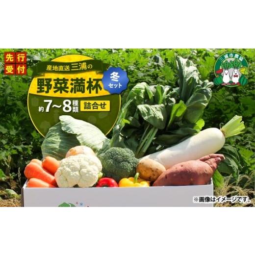 ふるさと納税 野菜類 神奈川県 三浦市 おいしさを全力に 三浦の野菜満杯セット(冬) M109-002-01