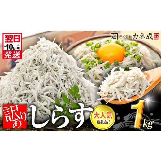 ふるさと納税 旬の鮮魚等 愛知県 南知多町 特別寄附額 訳あり 釜揚げ しらす 1kg (1箱) 小分け 減塩 無添加 無着色 冷凍 愛知県 南知多町 ご飯 ごはん 丼 料…