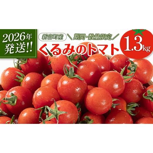 ふるさと納税 トマト ミニトマト 宮崎県 新富町 期間・数量限定 [2026年発送]くるみのトマト 計1.3kg 宮崎県新富町産 朝採れ 野菜 フレッシュ 国産