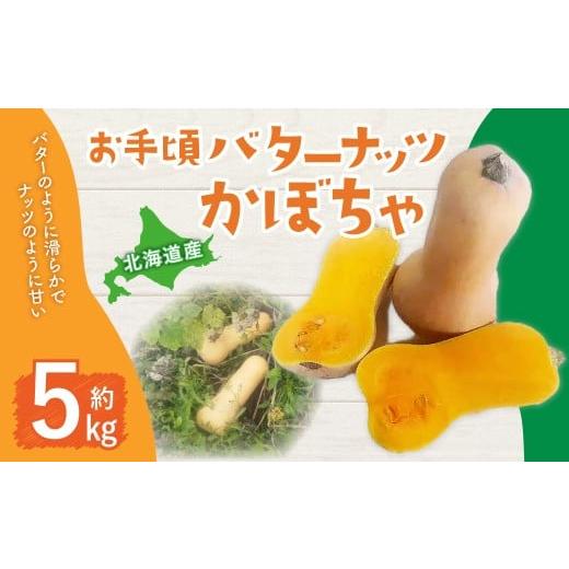 ふるさと納税 野菜類 北海道 北広島市 北海道産 お手頃バターナッツ かぼちゃ 約5kg 2026年1月上旬頃までに発送予定 カボチャ 南瓜 野菜 北海道