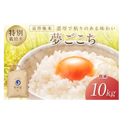 ふるさと納税 米 京都府 京丹後市 2025年産 京丹後米 特別栽培米夢ごこち10kg(白米)