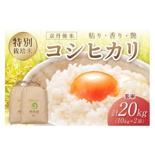 ふるさと納税 米 コシヒカリ 京都府 京丹後市 2025年産 京丹後米 特別栽培米コシヒカリ 20kg(玄米)