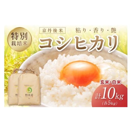 ふるさと納税 米 コシヒカリ 京都府 京丹後市 2025年産 京丹後米 特別栽培米コシヒカリ 玄米・白米 各5kg