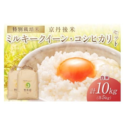 ふるさと納税 米 コシヒカリ 京都府 京丹後市 2025年産 京丹後米 特別栽培米ミルキークイーン&丹後コシヒカリ 各5kg(白米)