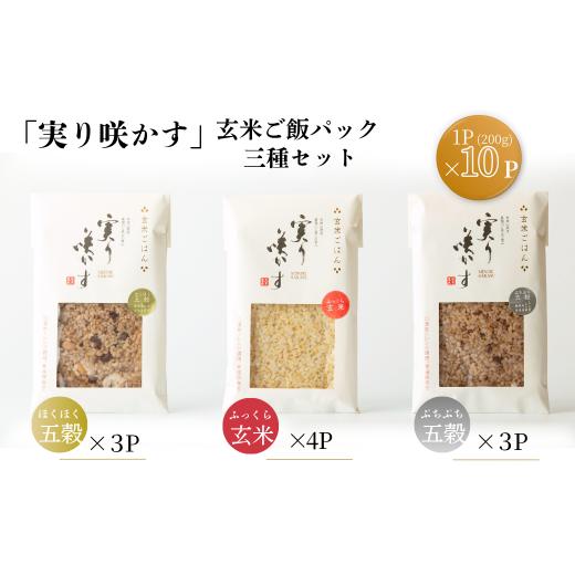 ふるさと納税 加工品等 レトルト 佐賀県 佐賀市 「実り咲かす」玄米ご飯パック 三種セット(10P):B195-010