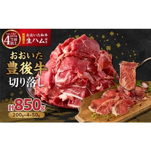 ふるさと納税 牛肉 炒め物 大分県 大分市 期間限定 おおいた豊後牛切り落し 200g×4P+おおいた和牛生ハム 50g×1P 切り落とし 小分け 牛肉 肉 黒毛和牛 おお…