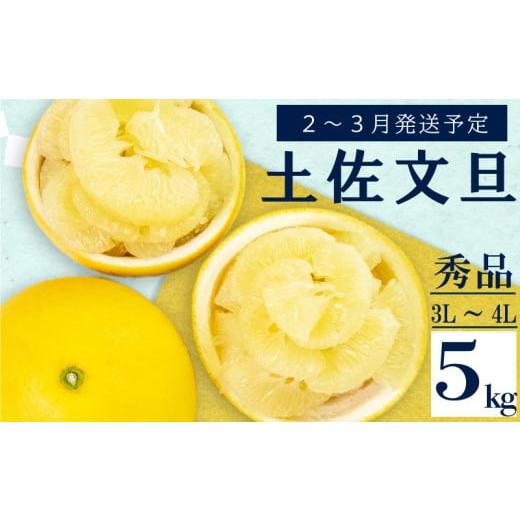 ふるさと納税 みかん・柑橘類 高知県 須崎市 2026年2月上旬から発送 文旦 高知 5kg 秀品 3L 4L 浦ノ内特産 早期予約 予約受付中 期間限定 季節限定 限定 旬 …
