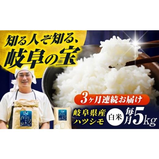 ふるさと納税 米 岐阜県 岐阜市 3回定期便 岐阜県産米ハツシモ(藍の燈)5kg ハツシモ 白米 精米 米 岐阜市 / 藍川ファーム
