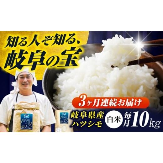 ふるさと納税 米 岐阜県 岐阜市 3回定期便 岐阜県産米ハツシモ「藍の燈」10kg ハツシモ はしつも 白米 精米 米 こめ ごはん コメ 10kg 10キロ 定期 定期便 米…