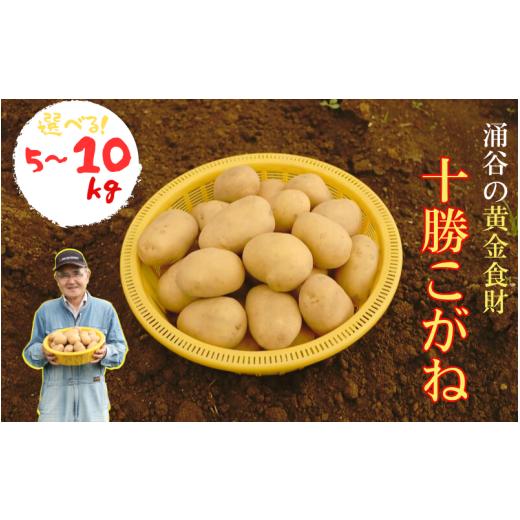 ふるさと納税 野菜類 じゃがいも 宮城県 涌谷町 涌谷の黄金食財じゃがいも 「十勝こがね」10kg 10kg