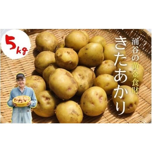 ふるさと納税 野菜類 じゃがいも 宮城県 涌谷町 涌谷の黄金食財じゃがいも 「キタアカリ」5kg
