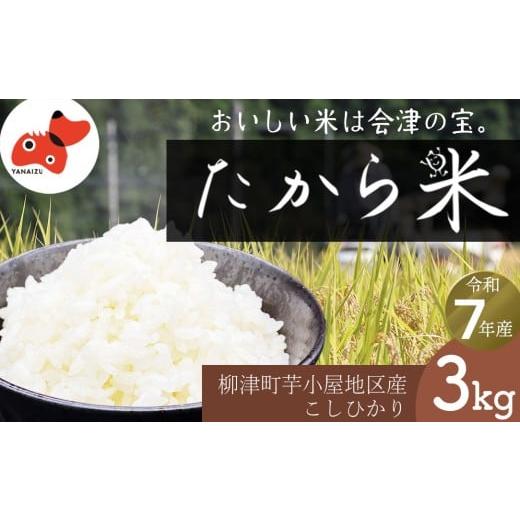 ふるさと納税 米 福島県 柳津町 令和7年産 奥会津のきれいな水で大切に育てた「たから米」 3kg 1679649