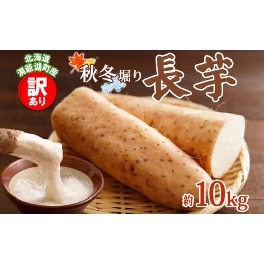 ふるさと納税 野菜類 北海道 洞爺湖町 洞爺湖町産 訳あり 長芋 約10kg 2025年12月上旬から順次お届け 長いも 国産 北海道産 訳アリ 家庭用 不揃い とろろ 山か…