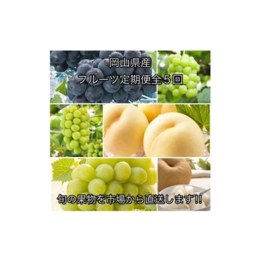 ふるさと納税 もも 岡山県 津山市 発送月固定定期便 岡山県産 フルーツ定期便全5回 4075035
