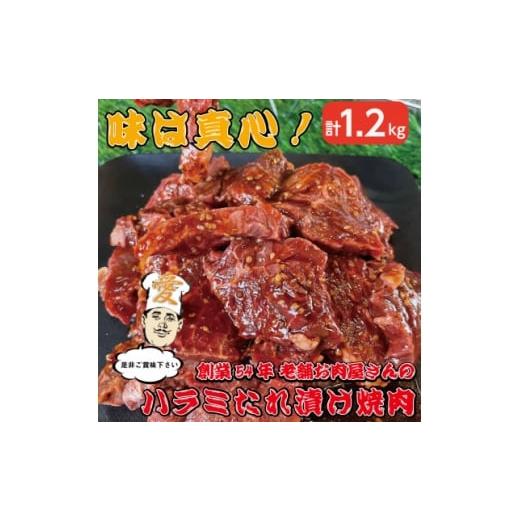 ふるさと納税 牛肉 焼肉・バーベキュー 大阪府 高石市 [約1.2kg]当店注文率No.1のハラミたれ漬け焼肉(甘口しょうゆ味) ホットプレート派に人気 1677668