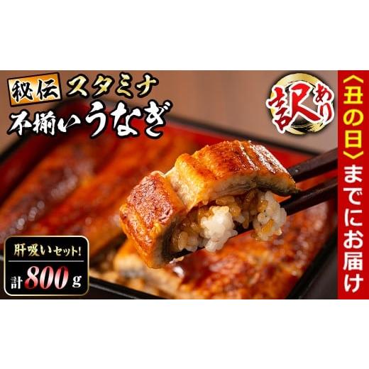 ふるさと納税 うなぎ 鹿児島県 志布志市 丑の日までに配送 訳あり 鹿児島県産 秘伝のスタミナうなぎ蒲焼き 計800g以上/5尾以上 肝吸いセット d0-038-us 丑の…
