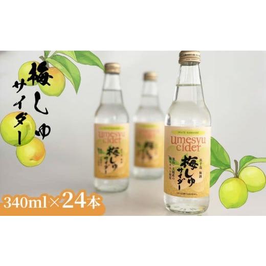 ふるさと納税 炭酸飲料 サイダー 岩手県 釜石市 fc-10-043 梅しゅサイダー 340ml×24本 振興開発