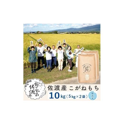 ふるさと納税 米・パン もち米 新潟県 佐渡市 新米 佐渡島産 こがねもち 無洗米 5kg×2袋
