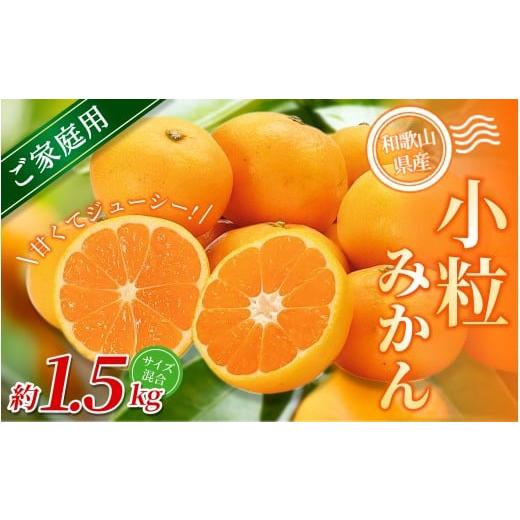 ふるさと納税 果物類 みかん 和歌山県 かつらぎ町 家庭用 森本農園の手選別 小粒みかん 約1.5kg 和歌山県産 北海道・沖縄・離島配送不可 2025年11月上旬〜202…