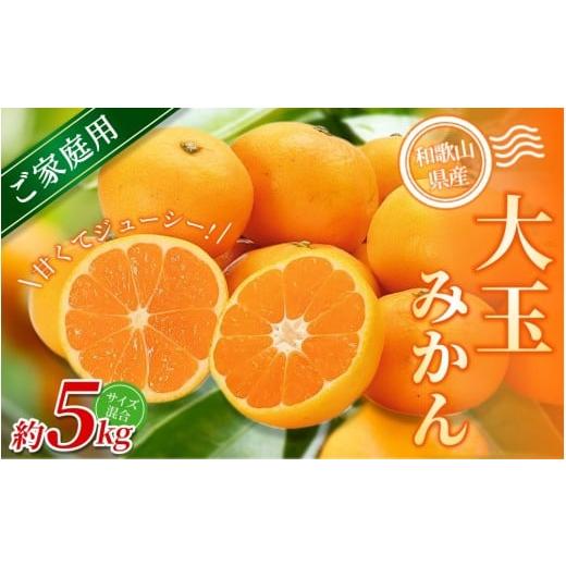 ふるさと納税 果物類 みかん 和歌山県 かつらぎ町 家庭用 森本農園の手選別 大玉みかん 約5kg 和歌山県産 北海道・沖縄・離島配送不可 2025年11月上旬〜2026…