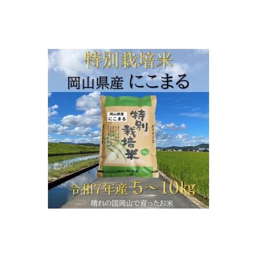 ふるさと納税 米 岡山県 和気町 FF-46 お米 特別栽培米 岡山県産「にこまる」10kg(令和7年産)