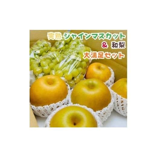 ふるさと納税 果物の詰合せ 和歌山県 有田川町 [先行予約・2026年発送]朝採れ完熟シャインマスカットと和梨 大満足セット 約4kg