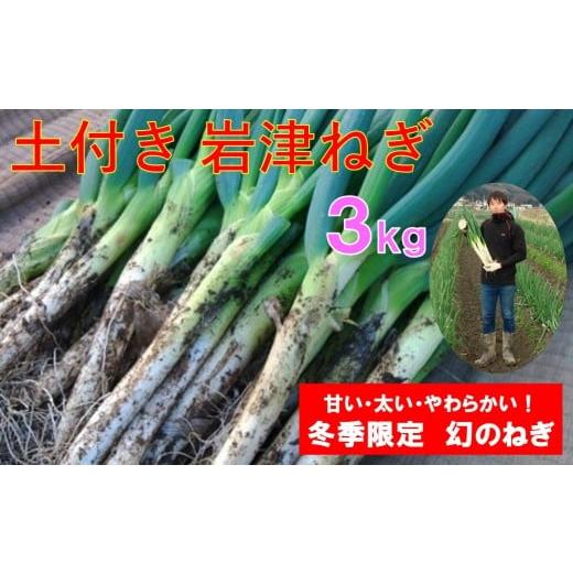 ふるさと納税 野菜類 ねぎ 兵庫県 朝来市 土付き岩津ねぎ 3kg 箱入り 田中農園 岩津ねぎ いわつねぎ ねぎ ネギ 長ネギ 長ねぎ 冬季限定 朝来市限定 甘い 太い …