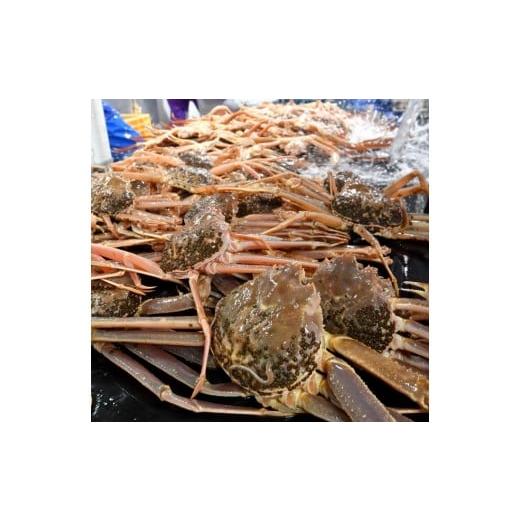 ふるさと納税 カニ 松葉ガニ 鳥取県 北栄町 1102. ボイル 訳あり 松葉ガニおまかせ2kg(3〜7枚) 2025年11月上旬〜2026年3月下旬頃に順次発送予定 着日指定不…