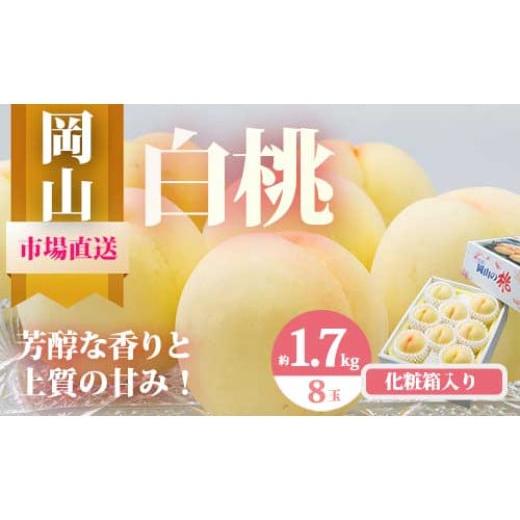 ふるさと納税 もも 岡山県 和気町 Do-1 令和8年発送・先行予約 岡山県産 白桃8玉(合計1.7kg以上) 化粧箱入り