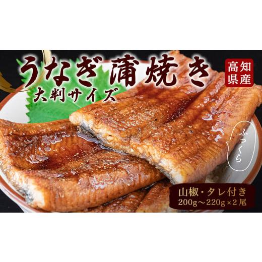 ふるさと納税 うなぎ 高知県 須崎市 うなぎ 鰻 蒲焼 約 200g × 2尾 高知県 産 蒲焼き タレ 付き 魚 魚介類 海鮮 国産 国産ウナギ 小分け 便利 土用の丑の日 …