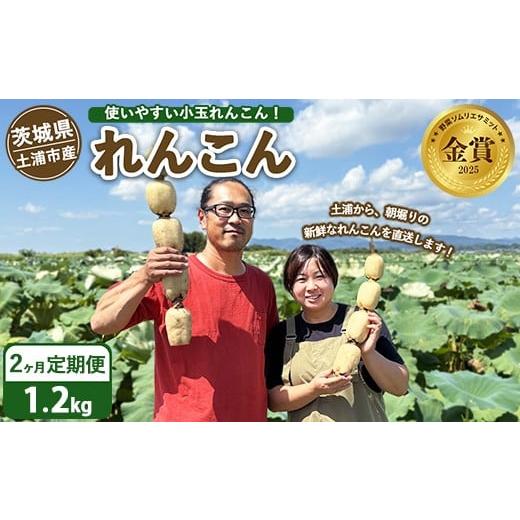 ふるさと納税 人参・大根・他根菜 茨城県 土浦市 定期便2ヶ月 土浦市産 れんこん 1.2kg 使いやすい小玉れんこん すずき蓮根農園の口福れんこん「松の小箱」 …