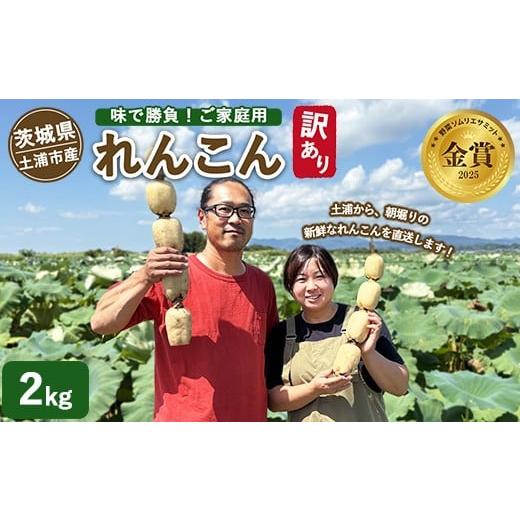 ふるさと納税 人参・大根・他根菜 茨城県 土浦市 訳あり 土浦市産 れんこん 2kg 味で勝負 タップリ大満足 すずき蓮根農園のご家庭用れんこん「竹 2キロ」 |…