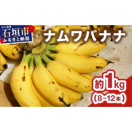 ふるさと納税 果物類 沖縄県 石垣市 2026年4〜10月順次発送 石垣島産 希少な国産『ナムワバナナ』を贅沢に1房丸ごと約1kg(8-12本) TF-101_R8 約1kg(8-12本…