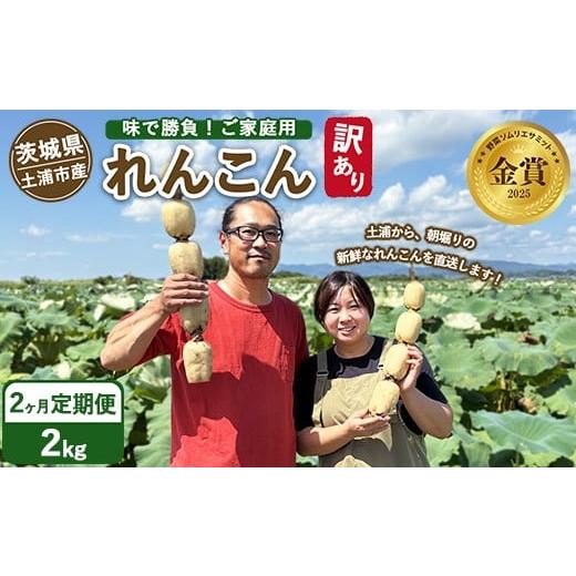 ふるさと納税 人参・大根・他根菜 茨城県 土浦市 定期便2ヶ月 訳あり 土浦市産 れんこん 2kg 味で勝負 タップリ大満足 すずき蓮根農園のご家庭用れんこん「…