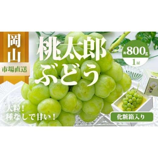 ふるさと納税 ぶどう マスカット 岡山県 和気町 Do-2 令和8年発送・先行予約 岡山県産 桃太郎ぶどう1房(800g以上) 化粧箱入り