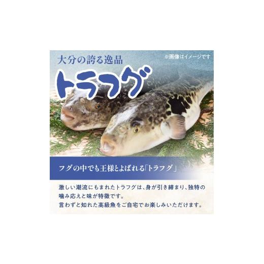 ふるさと納税 フグ 大分県 大分市 トラフグ うす引き・チリセット（33cm皿） 4月〜10月までお届け ふぐ フグ ふぐ刺し 薄引き ふぐちり ちり鍋 かぼす トラフ…_2