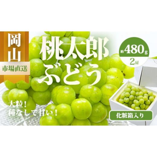 ふるさと納税 ぶどう マスカット 岡山県 和気町 Do-3 令和7年発送・先行予約 岡山県産 桃太郎ぶどう2房(1房480g以上) 化粧箱入り