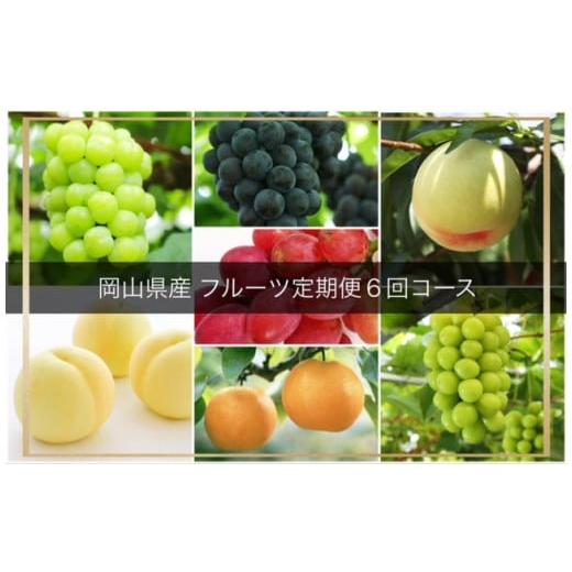 ふるさと納税 ぶどう マスカット 岡山県 和気町 KK-6 令和8年発送・先行予約 岡山県産 晴れの国岡山フルーツ7月8月9月10月11月12月定期便6回 化粧箱入りA