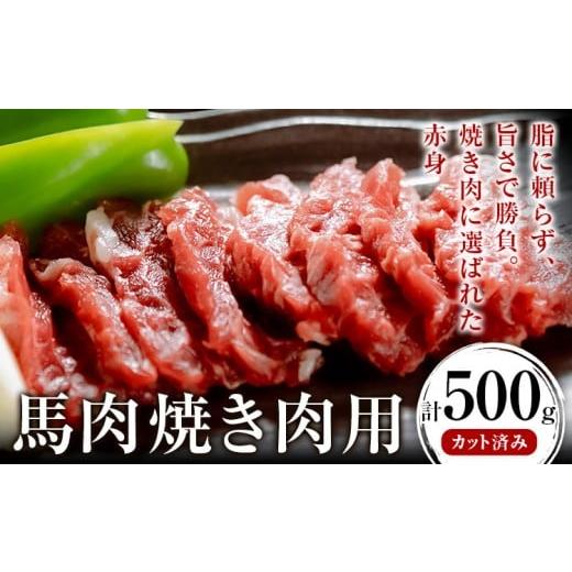 ふるさと納税 馬肉 熊本県 荒尾市 馬肉焼肉用 500g カット済 桜屋 [60日以内に出荷予定(土日祝除く)]熊本県 荒尾市 送料無料 肉 馬肉 焼肉