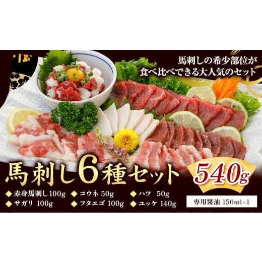 ふるさと納税 馬肉 熊本県 荒尾市 馬刺し 6種 セット 540g 醤油 タレ 付き 桜屋 [60日以内に出荷予定(土日祝除く)]熊本県 荒尾市 肉 馬肉 馬さし 赤身 タテ…