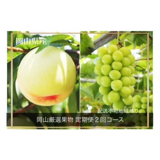ふるさと納税 ぶどう マスカット 岡山県 和気町 GT-1 令和8年発送・先行予約 岡山県産 晴れの国岡山フルーツ7月8月定期便2回 化粧箱入り