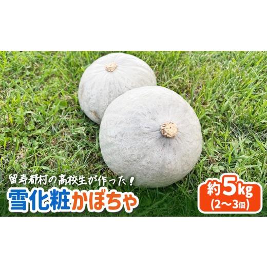 ふるさと納税 野菜類 北海道 留寿都村 留寿都村の高校生が作った 雪化粧かぼちゃ 23002