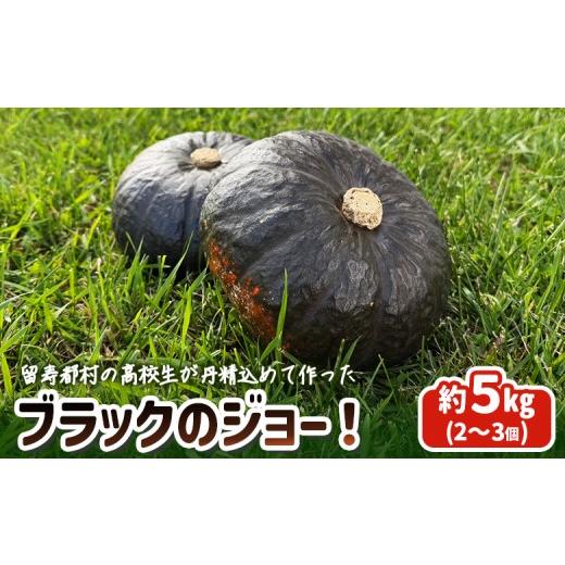 ふるさと納税 野菜類 北海道 留寿都村 留寿都村の高校生が丹精込めて作ったブラックのジョー 23003