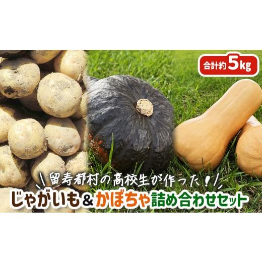 ふるさと納税 野菜類 じゃがいも 北海道 留寿都村 留寿都村の高校生が作った じゃがいも&かぼちゃ詰め合わせセット 23005