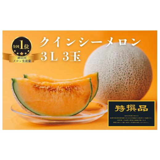 ふるさと納税 メロン メロン赤肉 茨城県 鉾田市 特選品 クインシーメロン(3L×3玉)