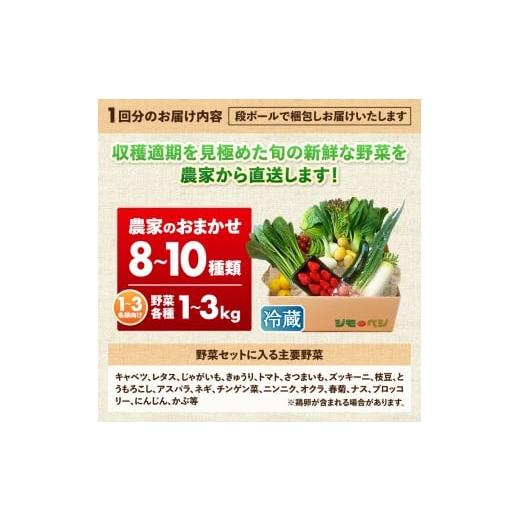 ふるさと納税 セット・詰合せ 静岡県 焼津市 a40-103　 定期便 全4回 ジモベジ 野菜 セット_5