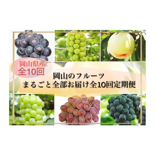 ふるさと納税 ぶどう マスカット 岡山県 和気町 Bm-1 令和8年発送・先行予約 岡山のフルーツまるごと全部お届け全10回定期便