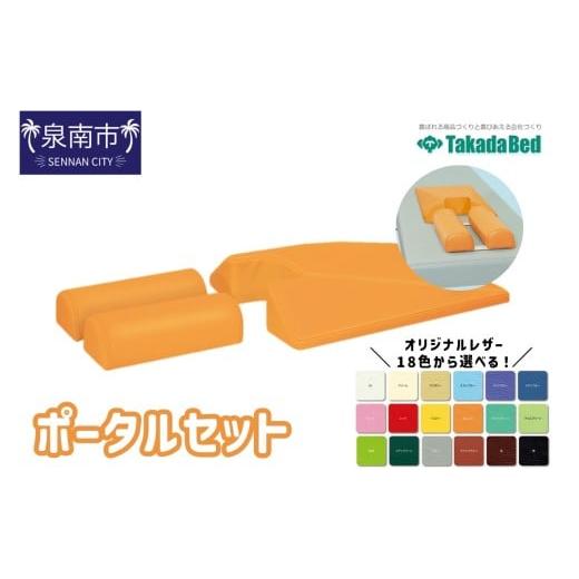 ふるさと納税 福祉・バリアフリー用品 大阪府 泉南市 ポータルセット 101B-006